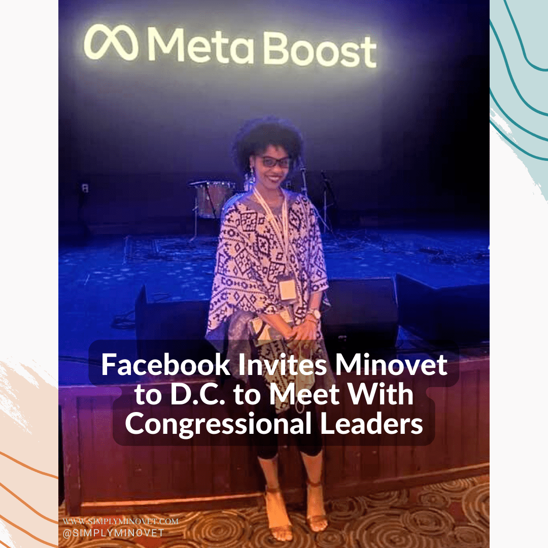 Meta (Facebook) Recognizes Minovet 